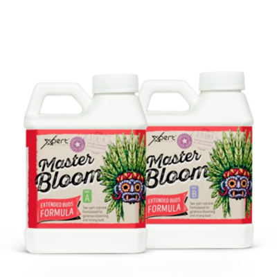Master Bloom A + B 250 ml – Mineraldünger für die Blüte